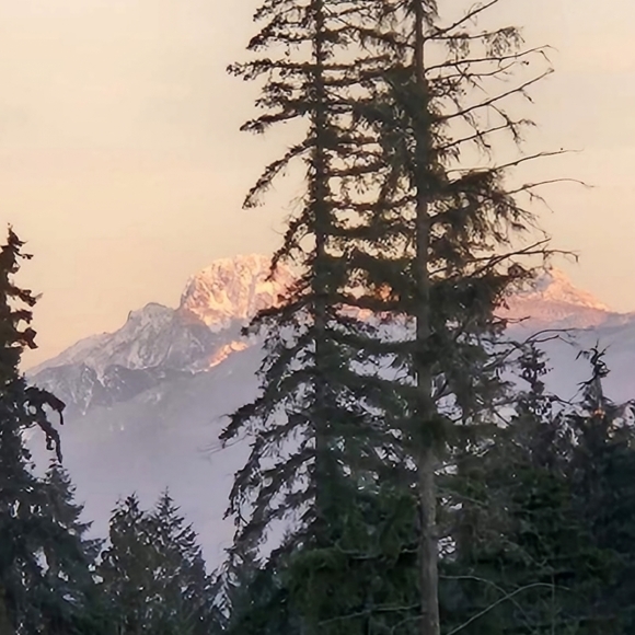 Lands End 3 in 1 Tan Water Resistant Jacket with Hood and Visor in Size Large - Picture 9 of 9